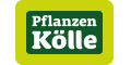 Pflanzen Kölle